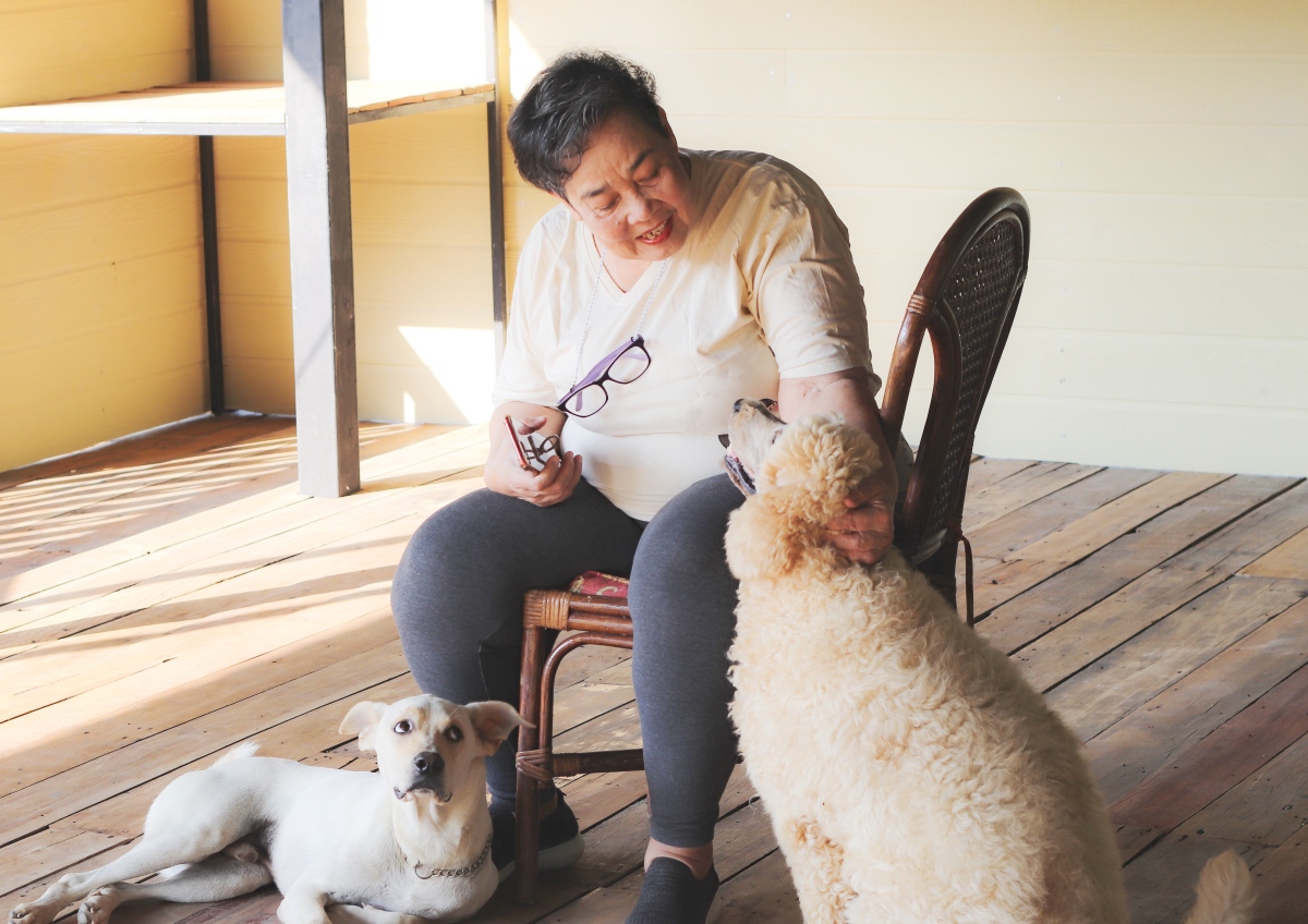 Survey does the talking for pets and older people